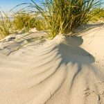 8 Carolina beaches to visit this summer