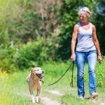 Your complete list of dog-friendly places in Burnsville, NC