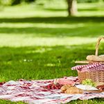 5 Perfect places to picnic in Waynesville, NC